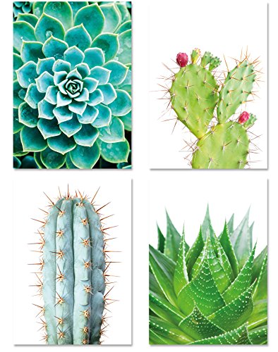 PICSonPAPER Poster 4er-Set KAKTEEN, Dekoration für Wohn- und Arbeitsräume, Kaktus, Wandbild, Kunstdruck, Geschenk