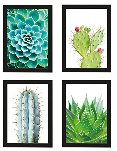 PICSonPAPER Poster 4er-Set KAKTEEN, Dekoration für Wohn- und Arbeitsräume, Kaktus, Wandbild, Kunstdruck, Geschenk