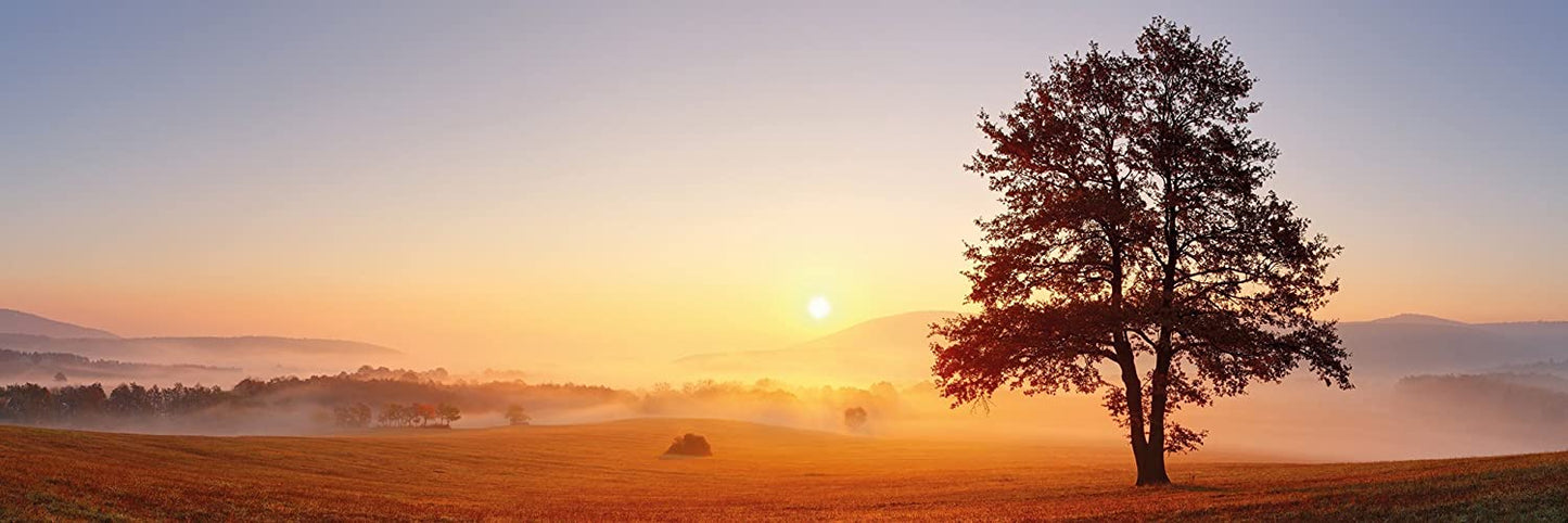 PICSonPAPER Poster Panorama Baum im Sonnenaufgang, 110 cm breit x 40 cm hoch, Dekoration, Kunstdruck, Wandbild, Fineartprint, Panorama Kunstdruck, Landschaft Baum Berge, Premium Qualität