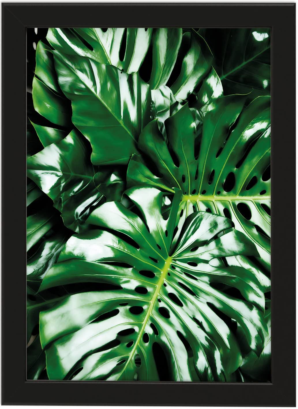 PICSonPAPER Poster Monstera, schwarz gerahmt DIN A4, Dekoration, Kunstdruck, Wandbild, Fineartprint, Wandposter, Poster Blatt, Poster Blätter, (Monstera schwarz gerahmt, DIN A4)