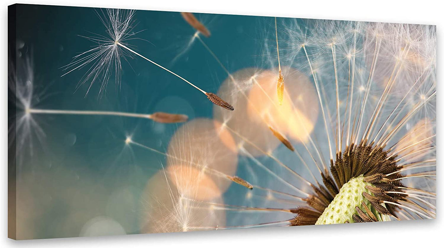PICSonPAPER Leinwandbild Pusteblume 110 cm x 50 cm, Dekoration, Kunstdruck, Wandbild, Leinwand Blume, Natur