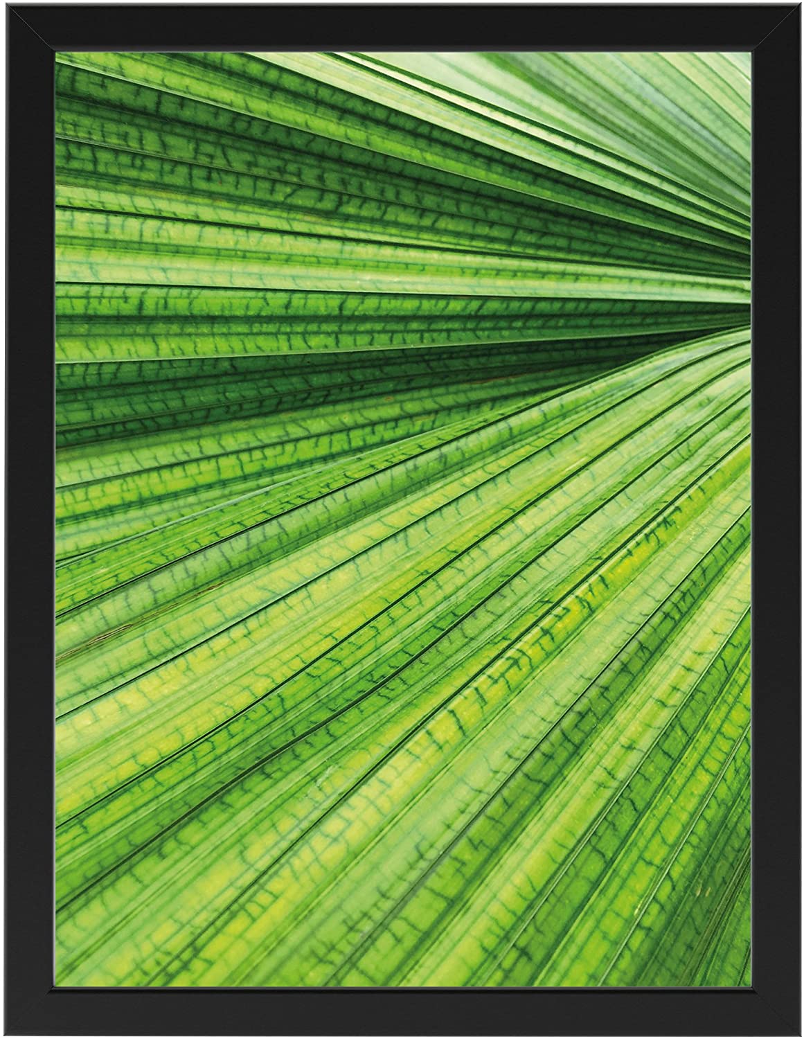 Poster Blatt Textur, schwarz gerahmt 30 cm x 40 cm, Dekoration, Kunstdruck, Wandbild, Fineartprint, Wandposter, Poster Blatt, Poster Blätter mit Rahmen (Blatt Textur schwarz gerahmt, 30 cm x 40 cm)