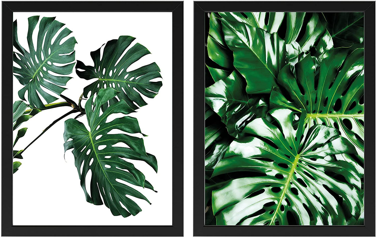 PICSonPAPER 2er Posterset Monstera, schwarz gerahmt 30 x 40, Dekoration, Kunstdruck, Wandbild, Fineartprint, Wandposter, Poster Blätter mit Rahmen (Mit schwarzem Bilderrahmen)