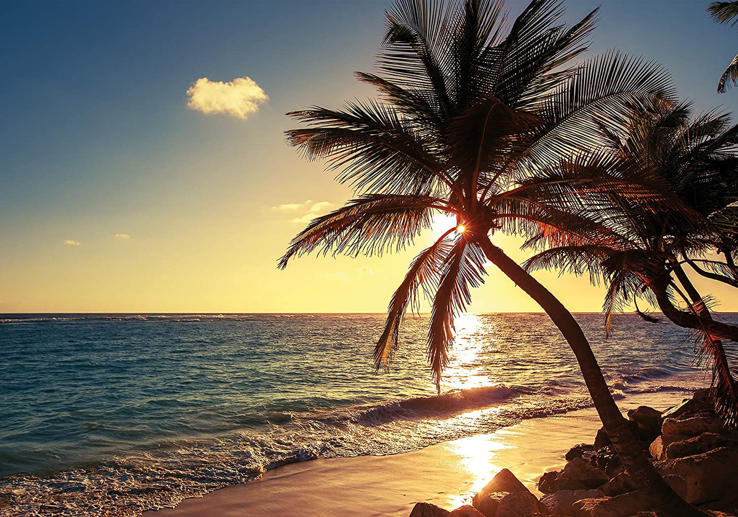 PICSonPAPER Hochwertiges Poster Palmen im Sonnenuntergang, 100 cm breit x 70 cm hoch, Dekoration, Kunstdruck, Wandbild, Fineartprint, Meer, Strand, Sommer