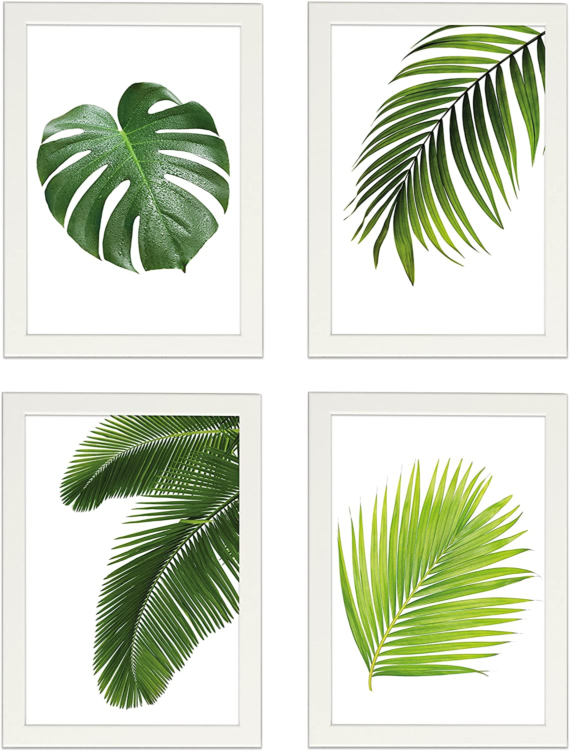 PICSonPAPER Poster 4er-Set BLÄTTER, Dekoration für Wohn- und Arbeitsräume, Monstera, Palmen, Kunstdruck, Wandbild, Geschenk