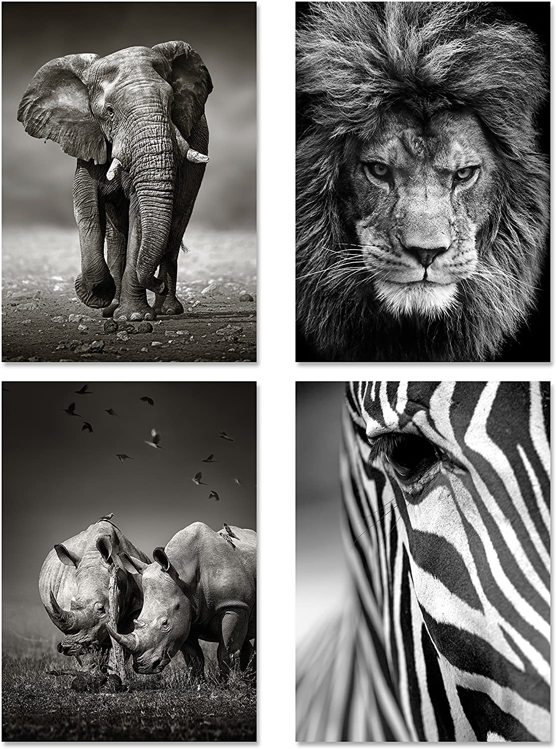 PICSonPAPER Poster 4er-Set Wildlife, Dekoration fürs Wohnzimmer oder Büro, Dekoposter, Kunsstdruck, Wandbild, Elefant, Löwe, Nashorn, Zebra, monochrom, Geschenk