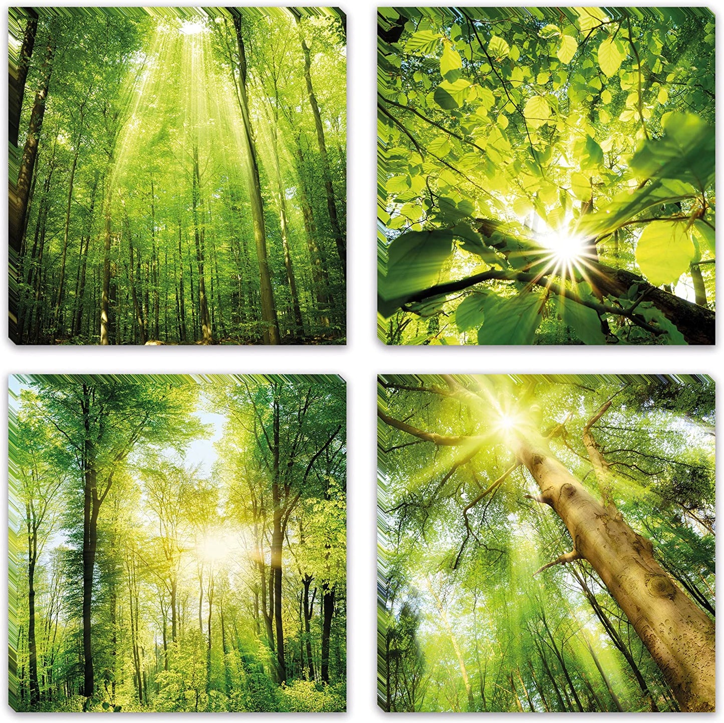 PICSonPAPER Leinwandbilder 4er-Set Wald, je 30 cm x 30 cm, Dekoration, Kunstdruck, Wandbild, Geschenk, Leinwand Natur, 4 Teile je 30 x 30 (4er Leinwand-Set Wald)