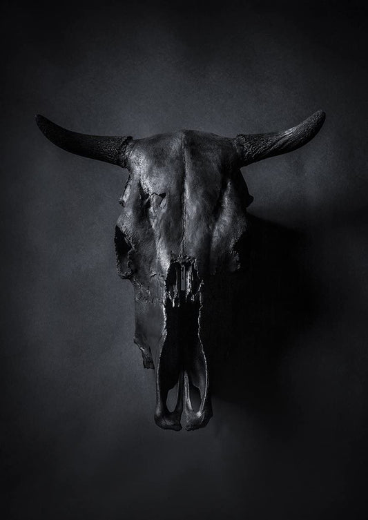 PICSonPAPER Kunstdruck DIN A4 Bull's Skull, ungerahmt, Geschenk, Poster, Geschenkidee, Geburtstagsgeschenk, Wandbild, Stierschädel (Ohne Bilderrahmen)