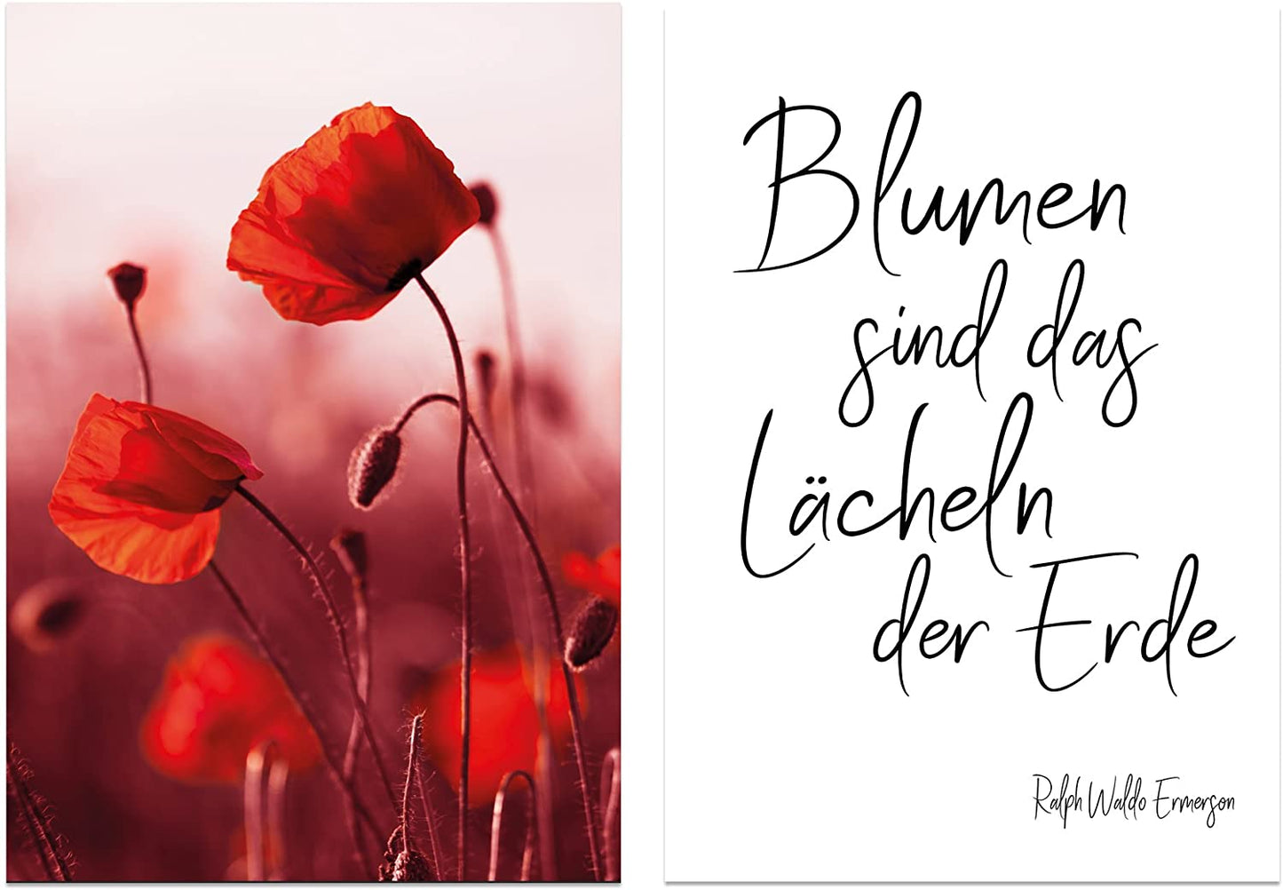 PICSonPAPER Poster 2er-Set Blumen, Dekoration, Kunstdruck, Wandbild, Mohnblumen, Typographie, Geschenk