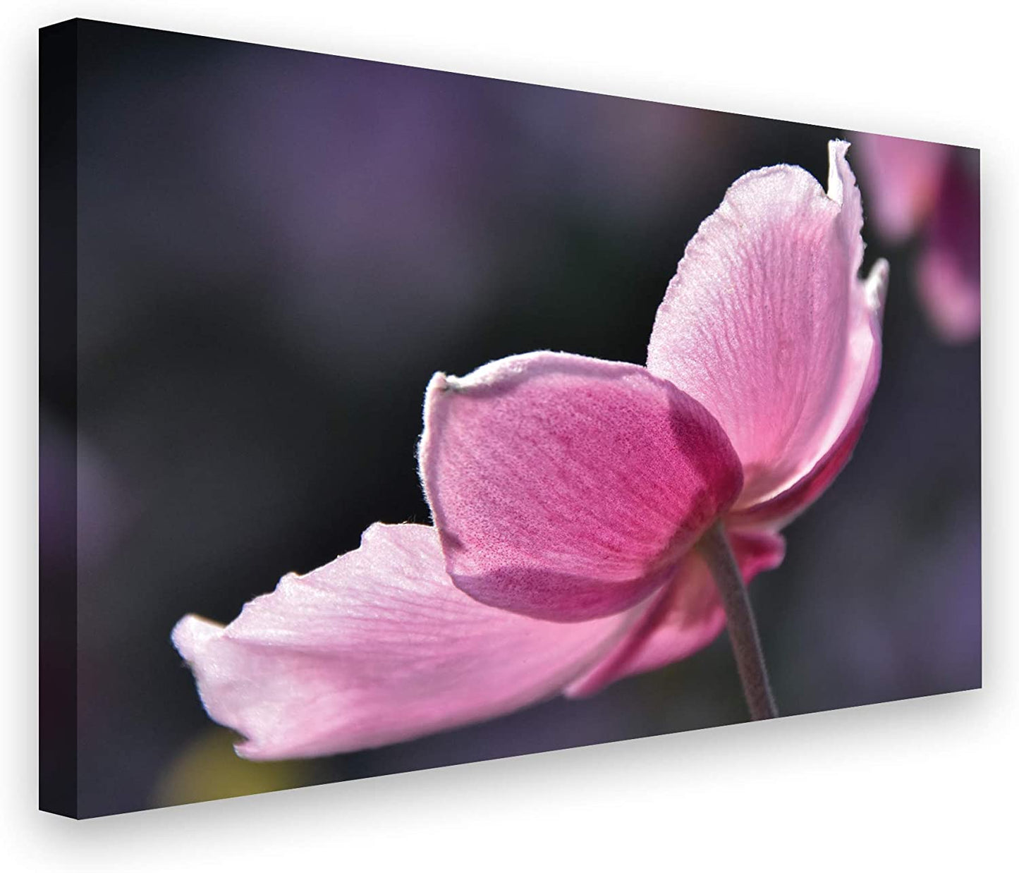 PICSonPAPER Leinwandbild Blume, 70 cm x 50 cm, Dekoration, Kunstdruck, Wandbild, Geschenk, Leinwand Blume