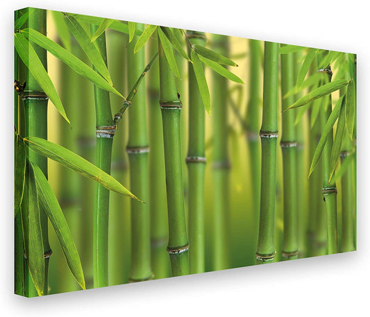 PICSonPAPER Leinwandbild Bambuswald, 70 cm x 50 cm, Dekoration, Kunstdruck, Wandbild, Geschenk, Leinwand Bambus, Blätter, Wald (70 x 50 cm)