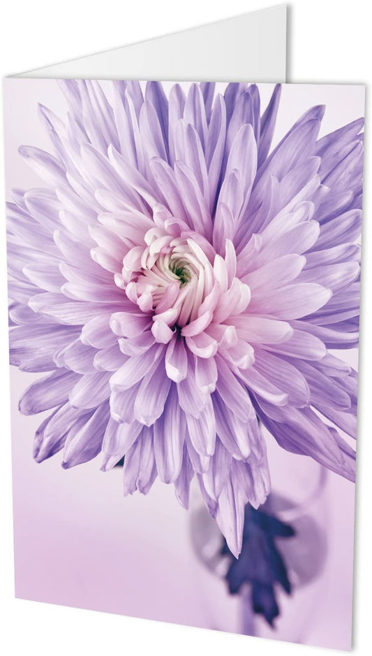 Maxi-Karte CHRYSANTHEME, Klappkarte DIN A4 mit Kuvert, Blumenkarte, Geburtstagskarte, Glückwunschkarte, Glückwünsche, Gratulation, Blume