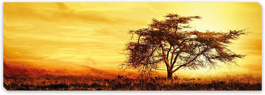 PICSonPAPER Leinwandbild Panorama Afrika Baum, 90 cm x 30 cm, Dekoration, Kunstdruck, Wandbild, Geschenk, Leinwand Baum, Feld, Natur (Afrika)