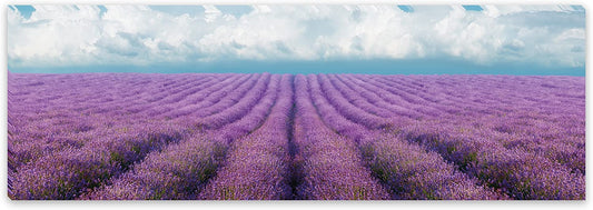 PICSonPAPER Leinwandbild Panorama Lavendelfeld, 90 cm x 30 cm, Dekoration, Kunstdruck, Wandbild, Geschenk, Leinwand Lavendel, Feld, Natur (Lavendelfeld)