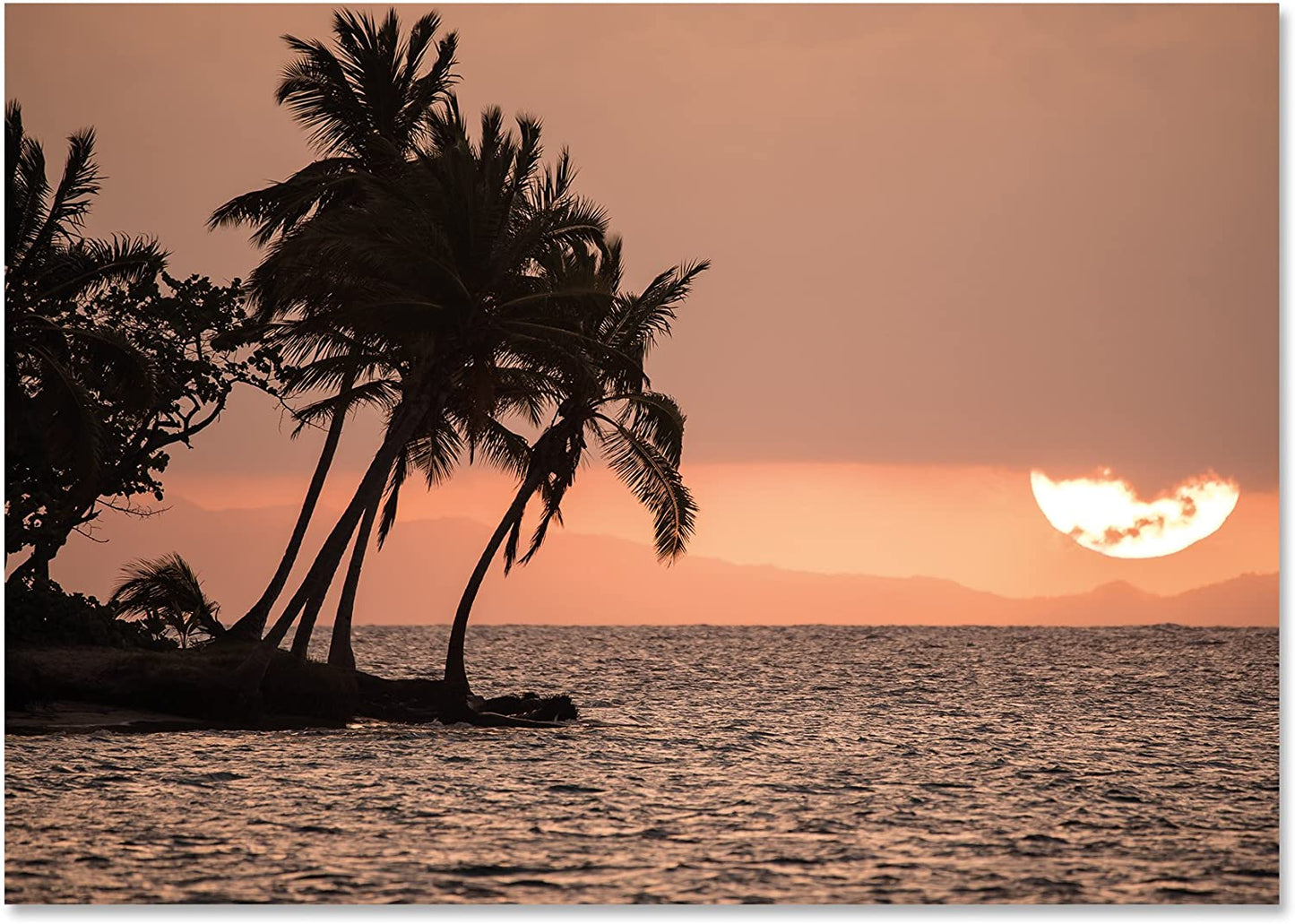 PICSonPAPER Poster Sunset with Palms, ungerahmt 40 cm x 30 cm, Dekoration, Kunstdruck, Wandbild, Fineartprint (Bambus, 30 cm x 40 cm)