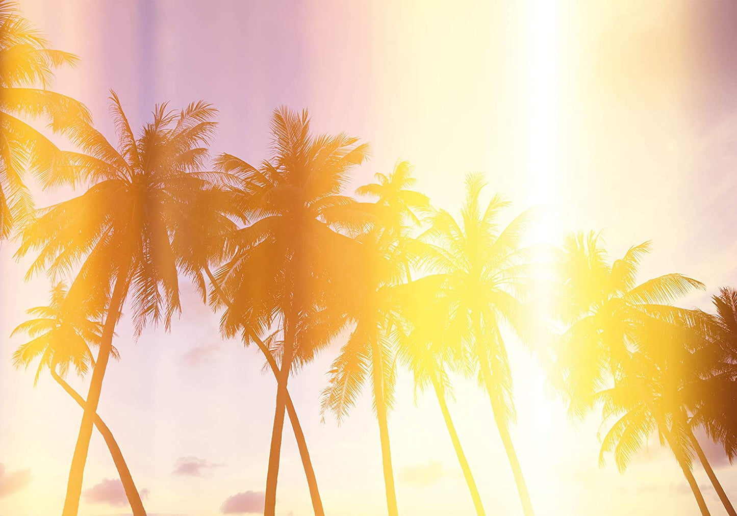 PICSonPAPER Hochwertiges Poster Palmen am Tropischen Strand, 100 cm breit x 70 cm hoch, Dekoration, Kunstdruck, Wandbild, Fineartprint, Sonnenuntergang, Palmen, Meer