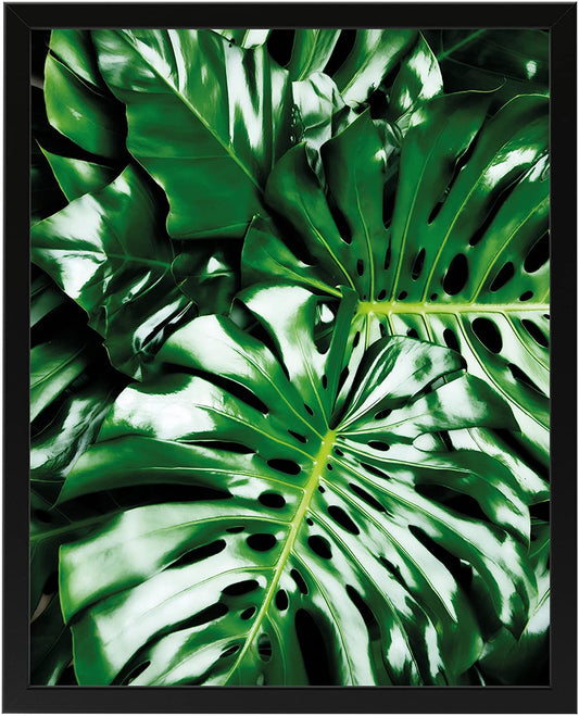 PICSonPAPER Poster Monstera, schwarz gerahmt 40 cm 50 cm, Dekoration, Kunstdruck, Wandbild, Fineartprint, Wandposter, Poster Blatt, Poster Blätter gerahmt, (Monstera schwarz gerahmt, 40 cm x 50 cm)