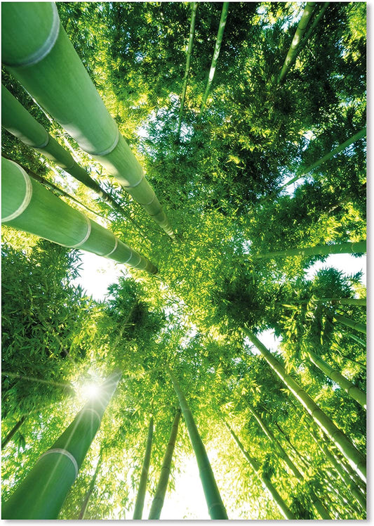 PICSonPAPER Poster Green Bamboo, ungerahmt 30 cm x 40 cm, Dekoration, Kunstdruck, Wandbild, Fineartprint (Bambus, 30 cm x 40 cm)