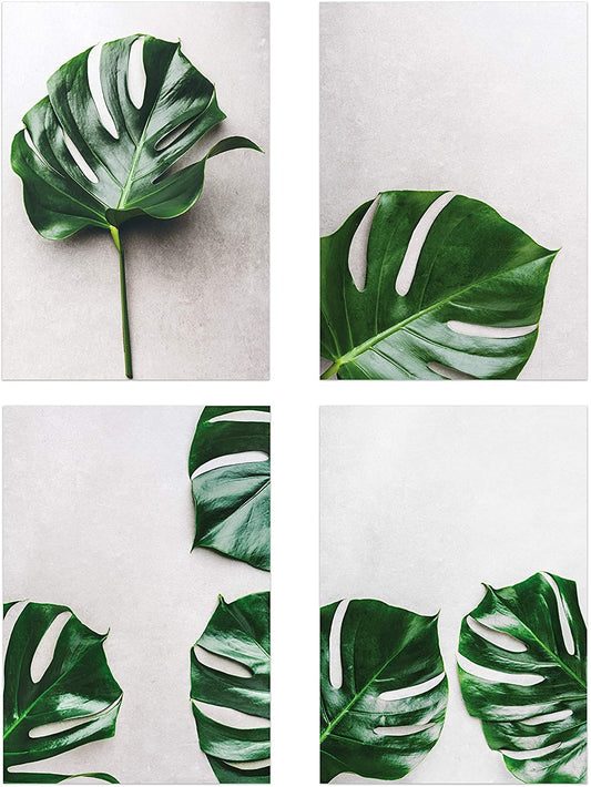 PICSonPAPER Poster 4er-Set Monstera Blätter, ungerahmt DIN A4, Dekoration für Wohn- und Arbeitsräume, Monstera, Blatt, Palmen, Kunstdruck, Wandbild, Geschenk (Ungerahmt DIN A4)