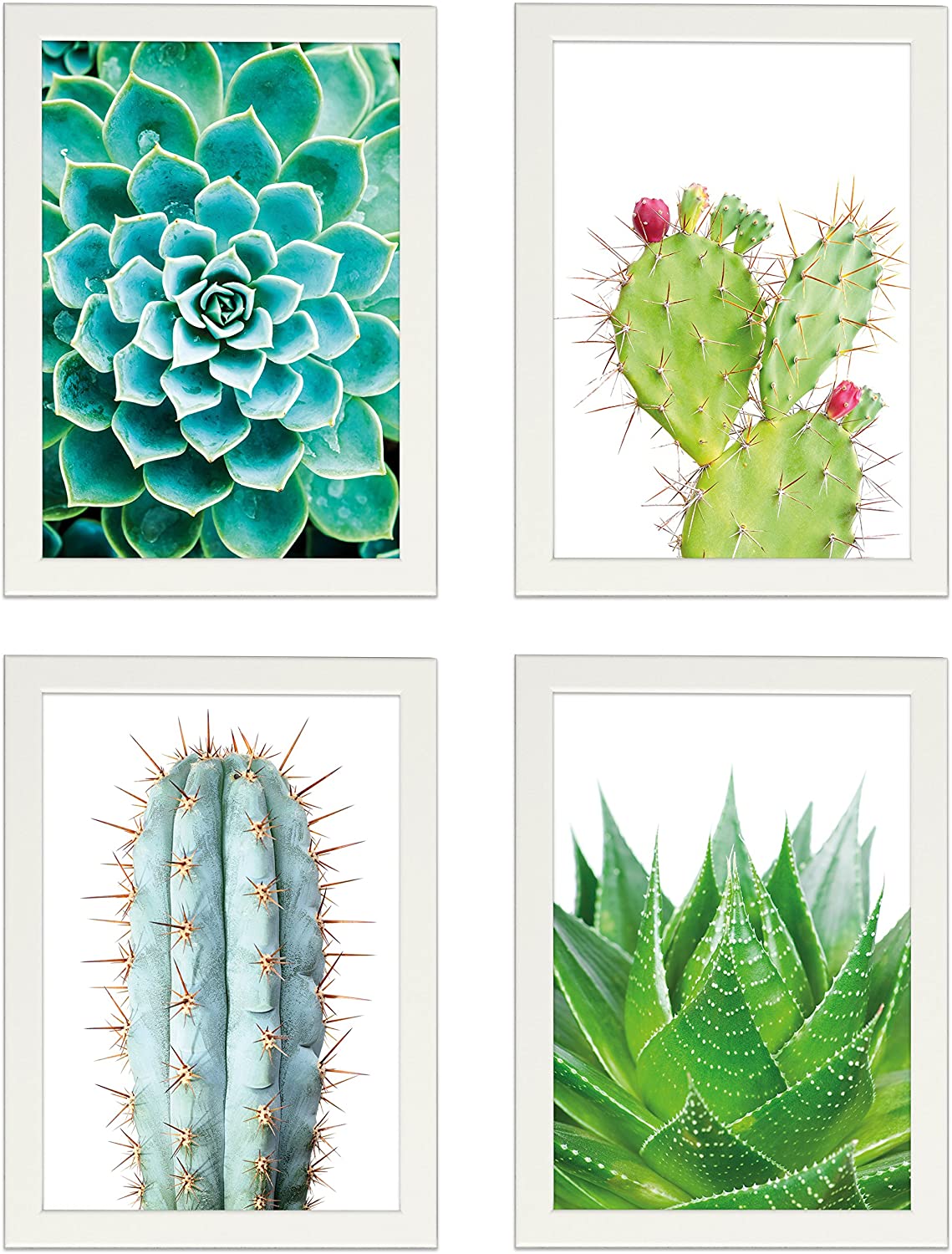 PICSonPAPER Poster 4er-Set KAKTEEN, Dekoration für Wohn- und Arbeitsräume, Kaktus, Wandbild, Kunstdruck, Geschenk