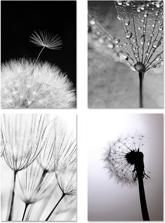 PICSonPAPER Poster 4er-Set PUSTEBLUMEN MONOCHROM, ungerahmt DIN A4, Kunstdruck, Poster, Dekoration, Wandbild, schwarz Weiss, Makroaufnahmen
