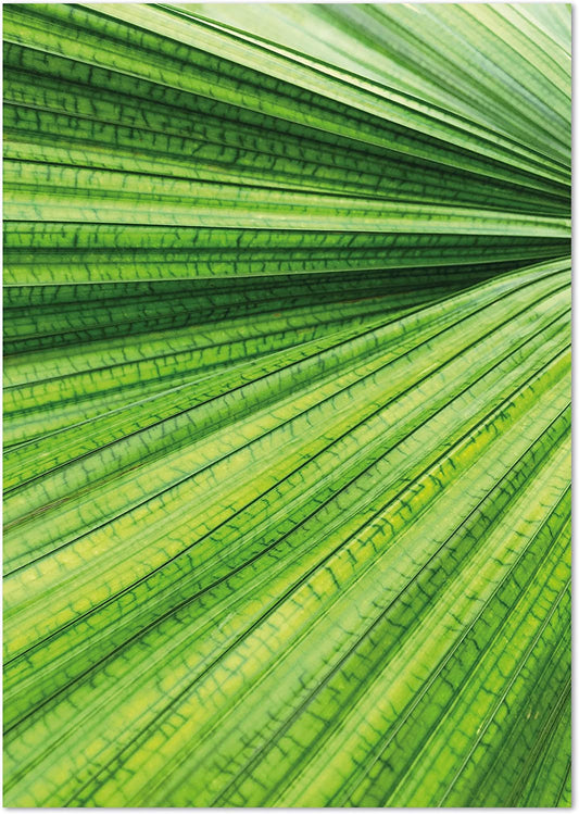 PICSonPAPER Poster Blatt Textur, ungerahmt DIN A4, Dekoration, Kunstdruck, Wandbild, Fineartprint, Wandposter, Poster Blatt, Poster Blätter, (Blatt Textur ungerahmt, DIN A4)
