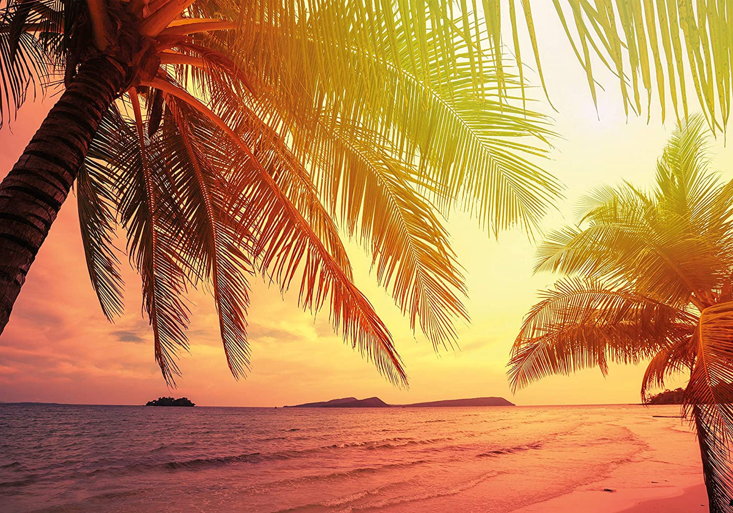 PICSonPAPER Hochwertiges Poster Tropischer Strand, 100 cm breit x 70 cm hoch, Dekoration, Kunstdruck, Wandbild, Fineartprint, Sonnenuntergang, Palmen, Meer