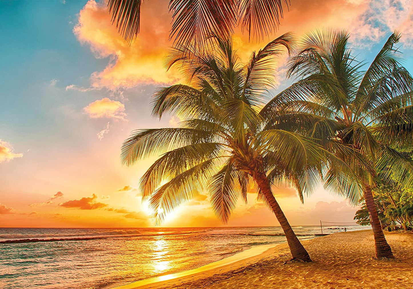 PICSonPAPER Poster Traumstrand Barbados, 100 cm breit x 70 cm hoch, Dekoration, Kunstdruck, Wandbild, Fineartprint, Strand, Sommer, Karibik, Sonnenuntergang, Premium Qualität